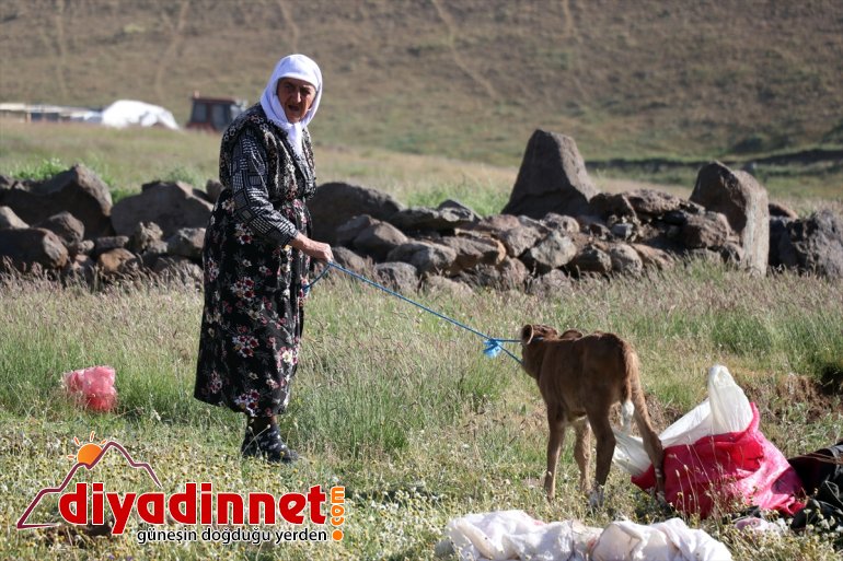 göçerleri yaşanmayan Güvenlik AĞRI sorunu Ağrı