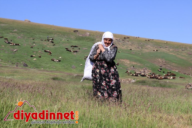 sorunu AĞRI göçerleri yaşanmayan - Güvenlik Ağrı