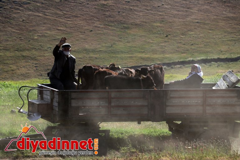 yaşanmayan sorunu Güvenlik Ağrı