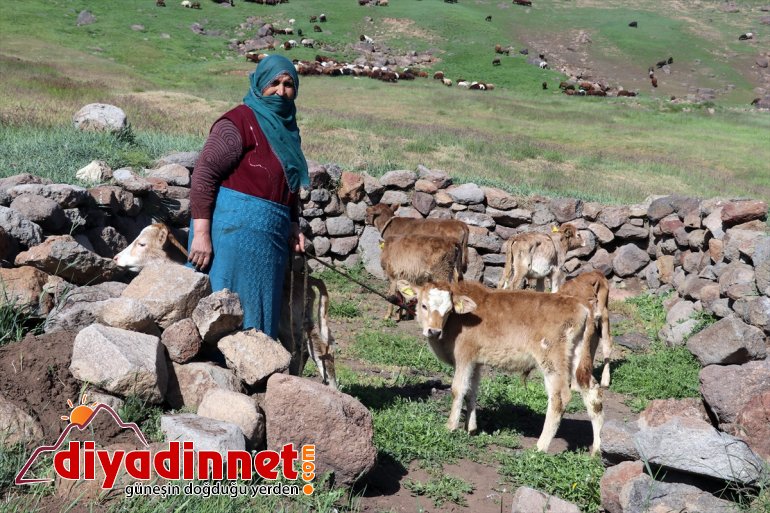 sorunu ağırlıyor AĞRI yaşanmayan Güvenlik göçerleri - Ağrı