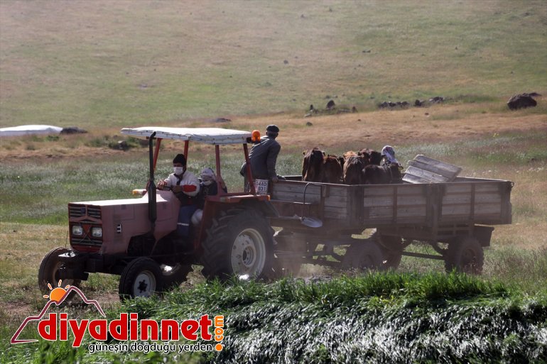 ağırlıyor AĞRI yaşanmayan Güvenlik sorunu - göçerleri Ağrı
