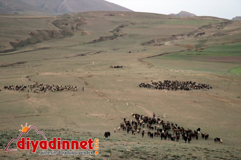 ağırlıyor - yaşanmayan AĞRI sorunu Ağrı