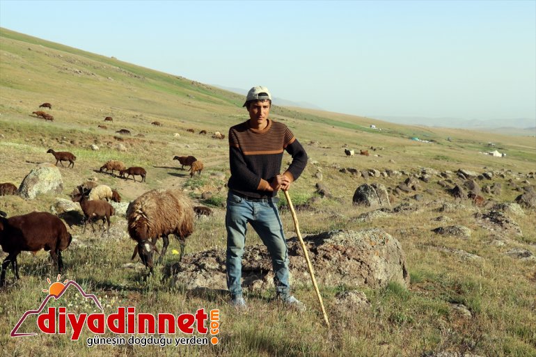 AĞRI Güvenlik yaylaları - Ağrı