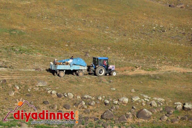 Güvenlik yaşanmayan yaylaları Ağrı