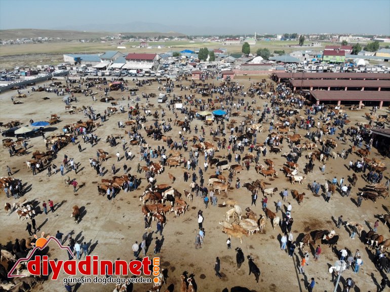 Ağrı Hayvan Borsası