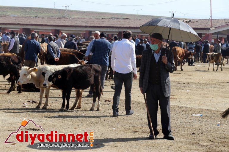 Ağrı Hayvan Borsası nda Kurban Bayramı hareketliliği başladı5