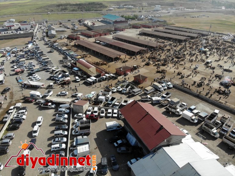 Ağrı Hayvan Borsası nda Kurban Bayramı hareketliliği başladı10