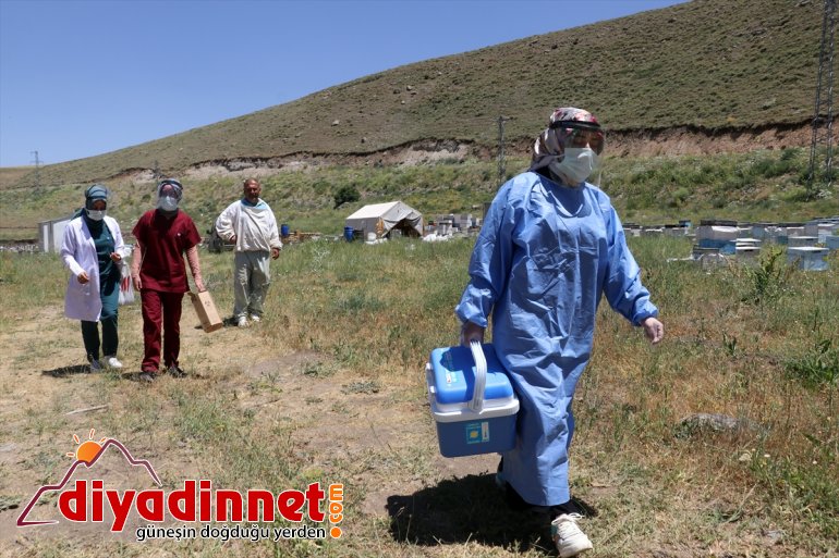 arıcılara Yaylalarda AĞRI sunuluyor 