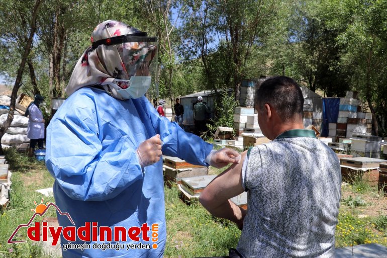 mesaide - sunuluyor olan Yaylalarda arıcılara da AĞRI hizmeti 