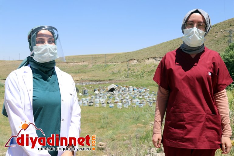 arıcılara mesaide Yaylalarda da 