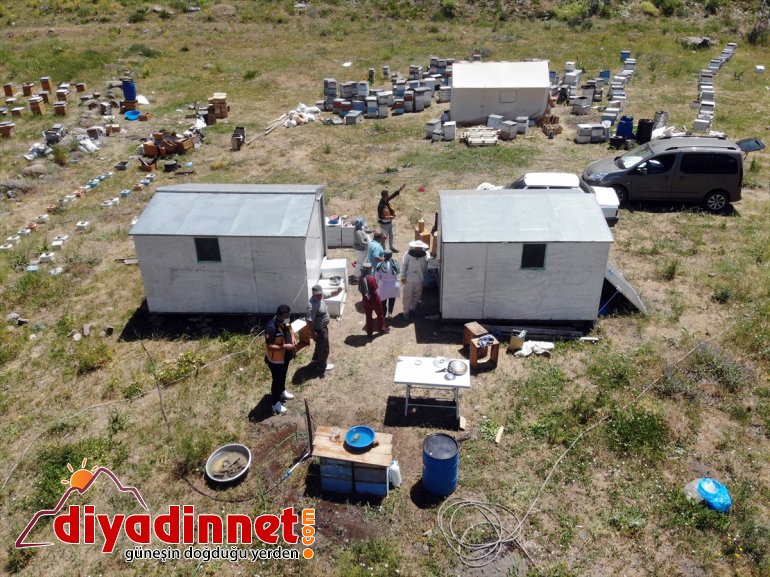 olan aşı hizmeti mesaide arıcılara Yaylalarda 