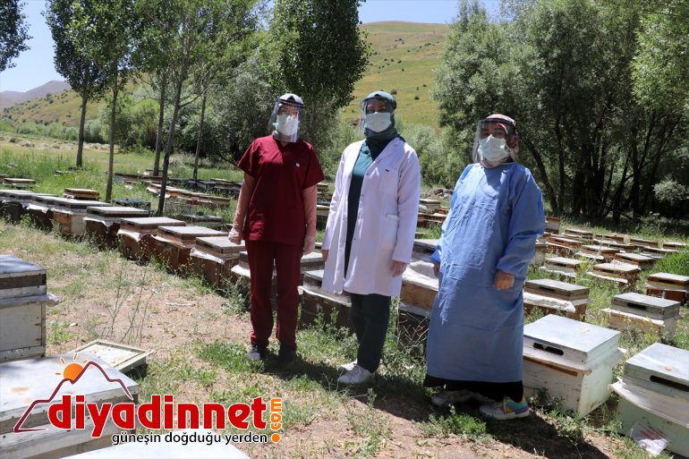 Yaylalarda sunuluyor da olan - hizmeti mesaide aşı AĞRI arıcılara 