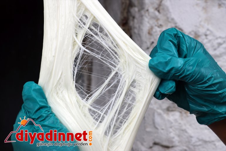 Ağrılı kadınlar kış kahvaltılarının vazgeçilmezi çeçil peynirinin üretimi için zorlu mesaide12