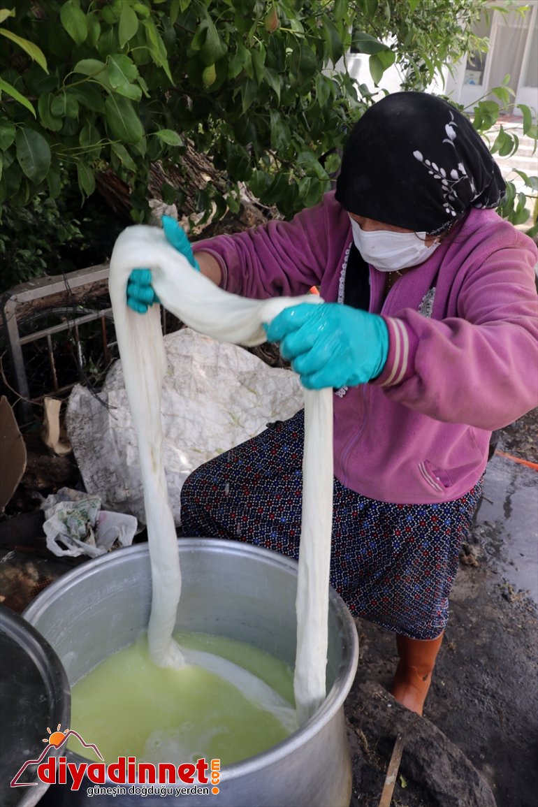 Ağrılı kadınlar kış kahvaltılarının vazgeçilmezi çeçil peynirinin üretimi için zorlu mesaide16