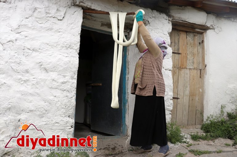 Ağrılı kadınlar kış kahvaltılarının vazgeçilmezi çeçil peynirinin üretimi için zorlu mesaide5