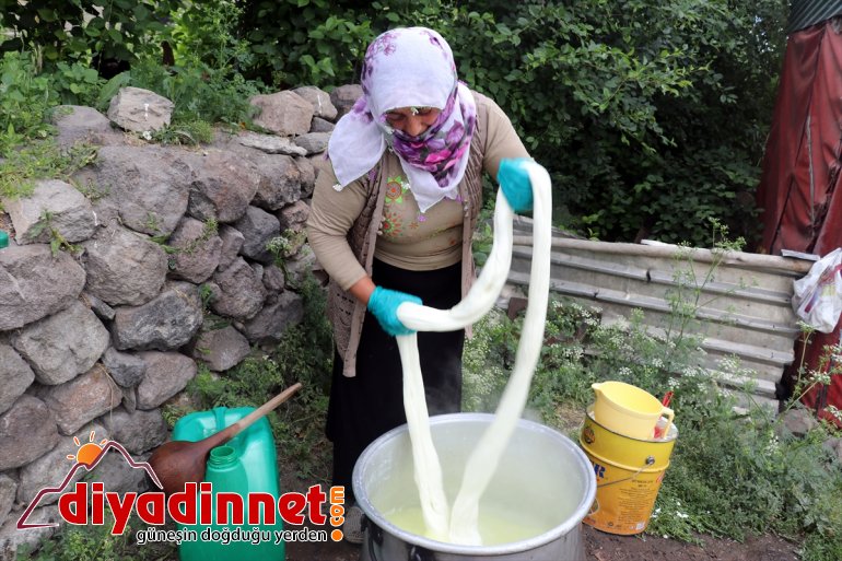 Ağrılı kadınlar kış kahvaltılarının vazgeçilmezi çeçil peynirinin üretimi için zorlu mesaide6