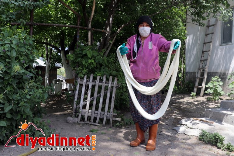 Ağrılı kadınlar kış kahvaltılarının vazgeçilmezi çeçil peynirinin üretimi için zorlu mesaide7