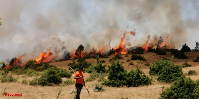 Bingöl'de çıkan orman yangını büyümeden söndürüldü