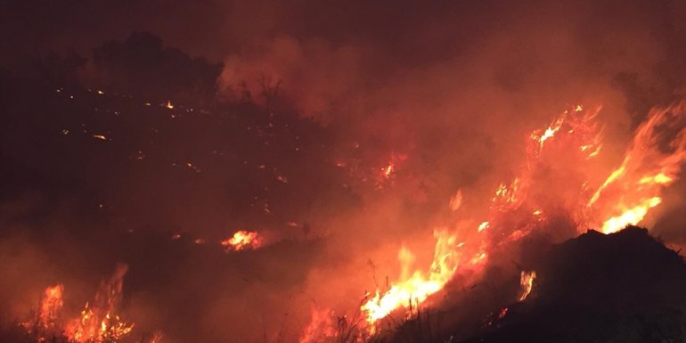 Bingöl'de çıkan orman yangınına müdahale ediliyor