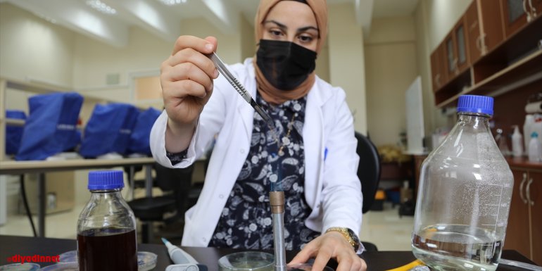 Bingöl Üniversitesi öğretim üyesi propolisten boğaz ve burun spreyi üretti