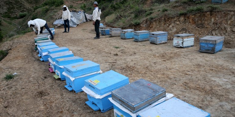 (Drone destekli) Bitlis'te "hobi kovanı" projesiyle vatandaşlar kendi balını üretebilecek
