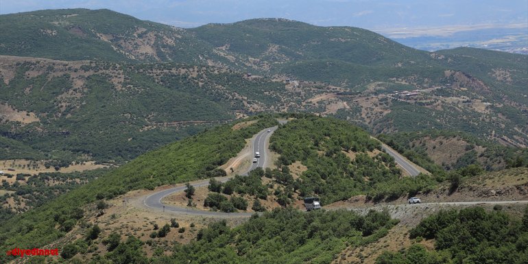 Bup Dağı'nı aşan sağlık ekipleri 1700 rakımdaki Kartal Yaylası'nda arıcıları aşıladı