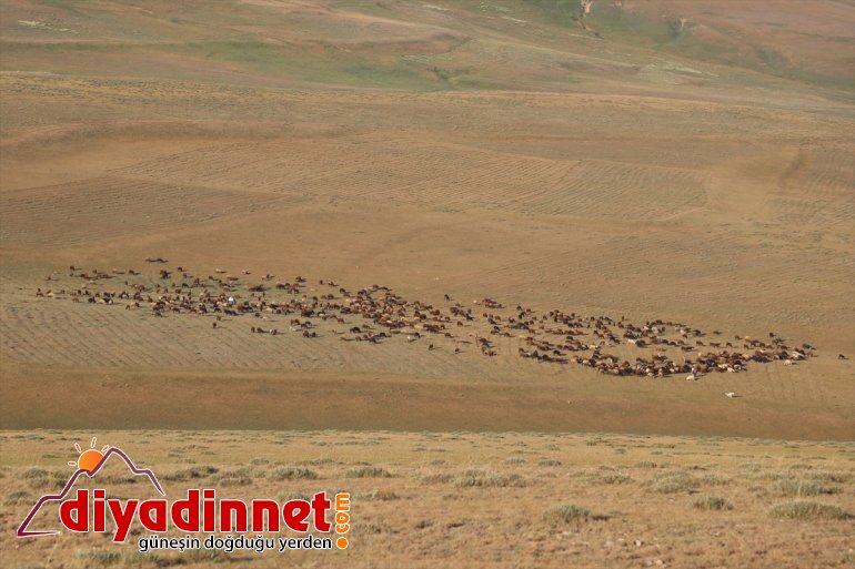 nedeniyle geçiyor hava Anadolu