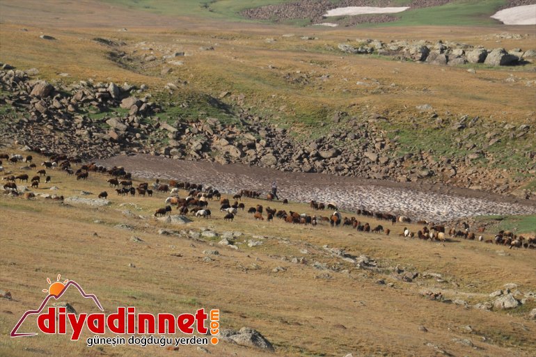 nedeniyle geçiyor zorlu Doğu yayla hava yolculuğu Anadolu