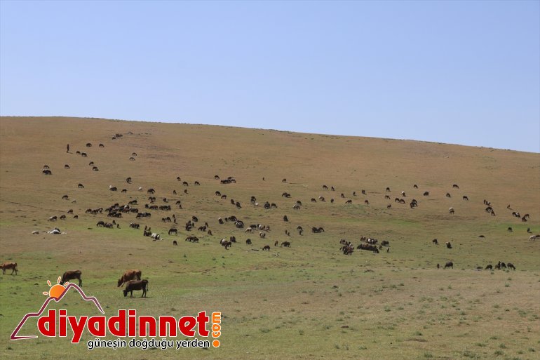 zorlu geçiyor nedeniyle Doğu hava yayla sıcak yolculuğu Anadolu