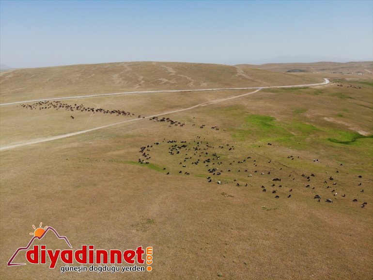 nedeniyle geçiyor zorlu Doğu yolculuğu Anadolu