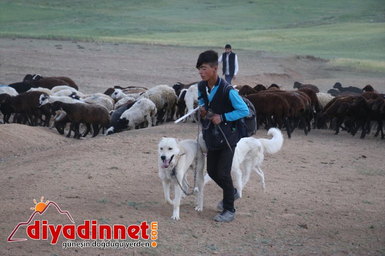 nedeniyle sıcak hava Anadolu