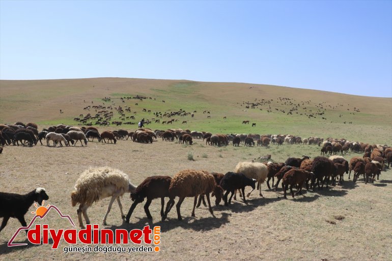 hava yayla Doğu yolculuğu sıcak Anadolu