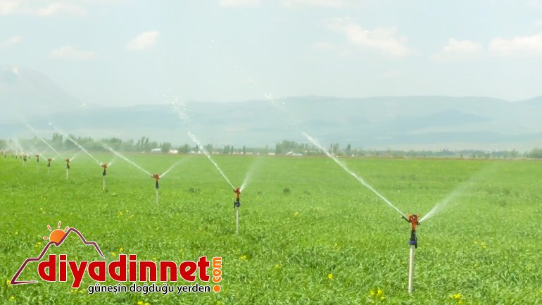 dsi ağrı sulama başladı1