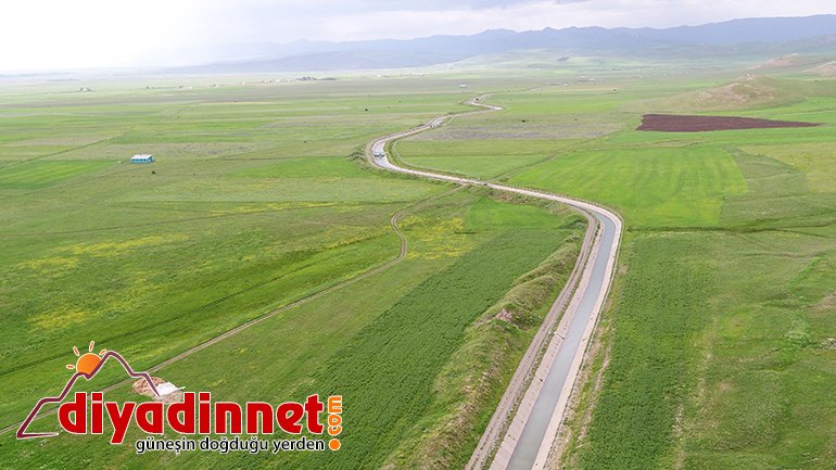 dsi ağrı sulama başladı2