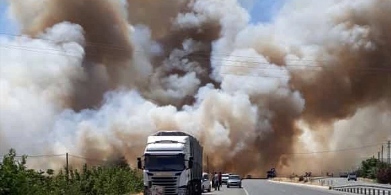 Elazığ'da 100 dönüm buğday ve arpa ekili alan yandı