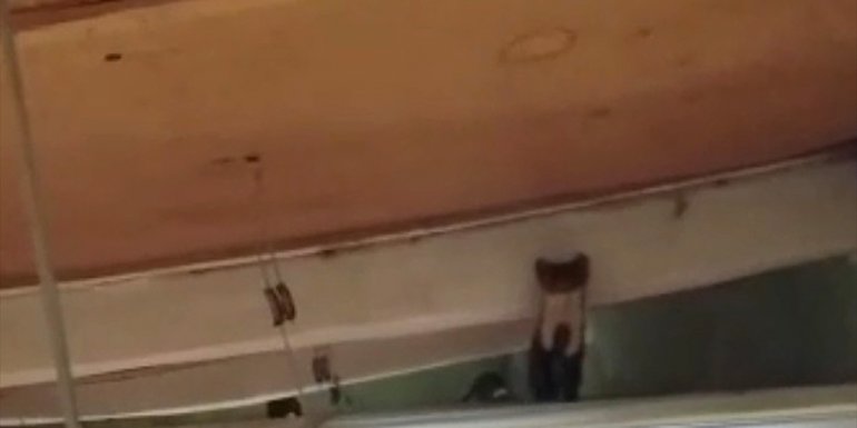 Elazığ'da cami çatısına yuva yapan sansarlar cep telefonuyla görüntülendi