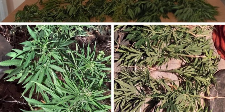 Elazığ'da uyuşturucu operasyonunda 2 kişi yakalandı