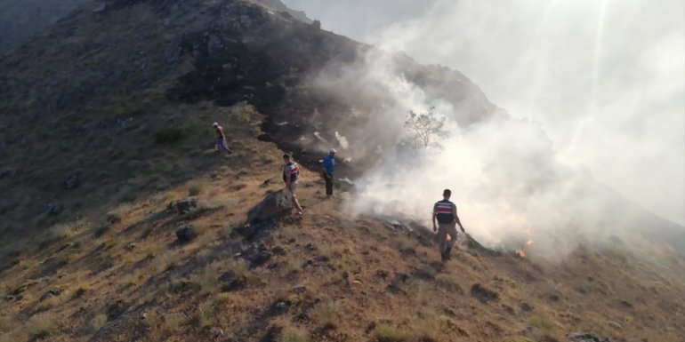 Elazığ'da 30 dönümlük alanda etkili olan örtü yangınına müdahale ediliyor