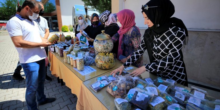 Elazığ'da kooperatifte güçlerini birleştiren kadınlar tarımsal üretime katkı sağlıyor