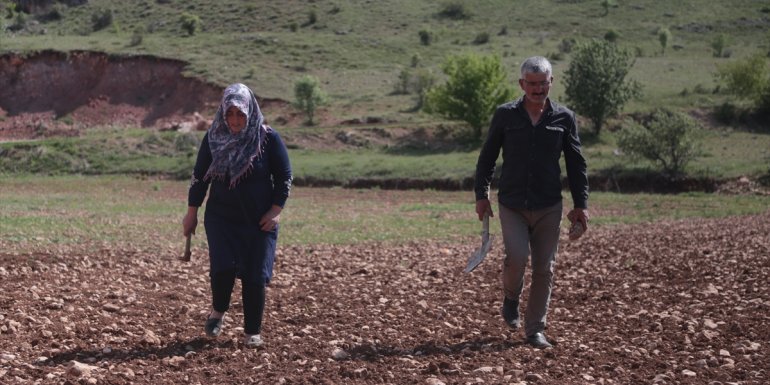 ÜRETİMDEN İHRACATA TARIM - Köyünde hem kanserle savaşını kazandı hem de üretici oldu