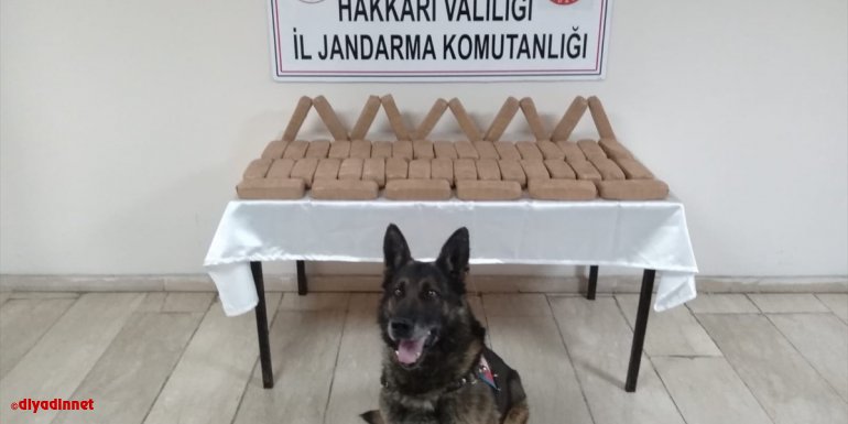 Hakkari'de toprağa gömülü 25 kilogram eroin ele geçirildi