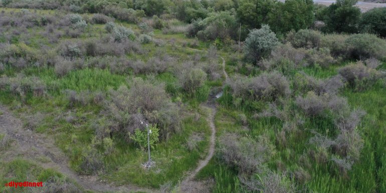 Üç kıtadaki kuşları buluşturan Aras Kuş Cenneti'nde bu sezon 5 bin kuş halkalandı