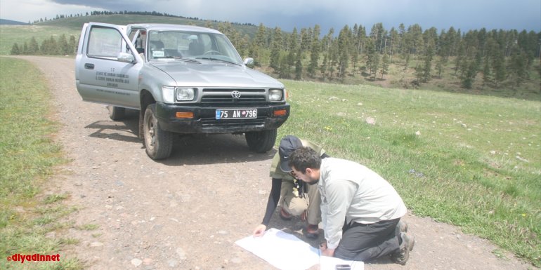 KuzeyDoğa Derneği Bilim Koordinatörü Çoban'dan Sarıçam ormanları için "ekosistem restorasyonu" önerisi: