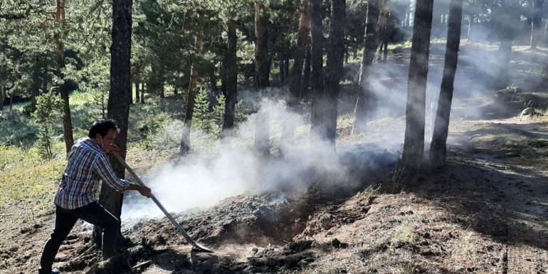 Kars'ta çıkan örtü yangınında yaklaşık bir hektar alan zarar gördü