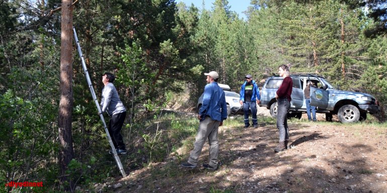 Sarıçam ormanlarındaki fotokapanların kırılmasına tepki