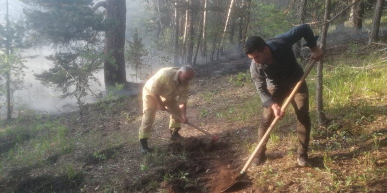 Kars'ta çıkan örtü yangınına ekipler müdahale ediyor