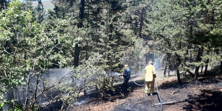 Kars'ta dün çıkan örtü yangını söndürüldü