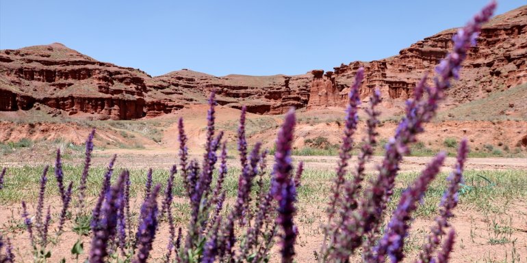 "Kırmızı periler diyarı" misafirlerini yenilenen yüzüyle ağırlayacak