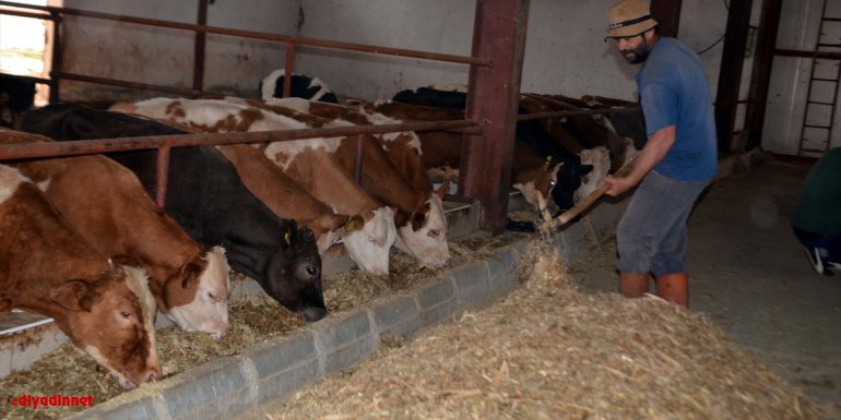 Muşlu girişimci devlet desteğiyle kurduğu çiftlikte günde 350 litre süt üretiyor