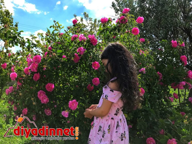 Renkleriyle doğayı canlandıran çiçekler göz kamaştırıyor3